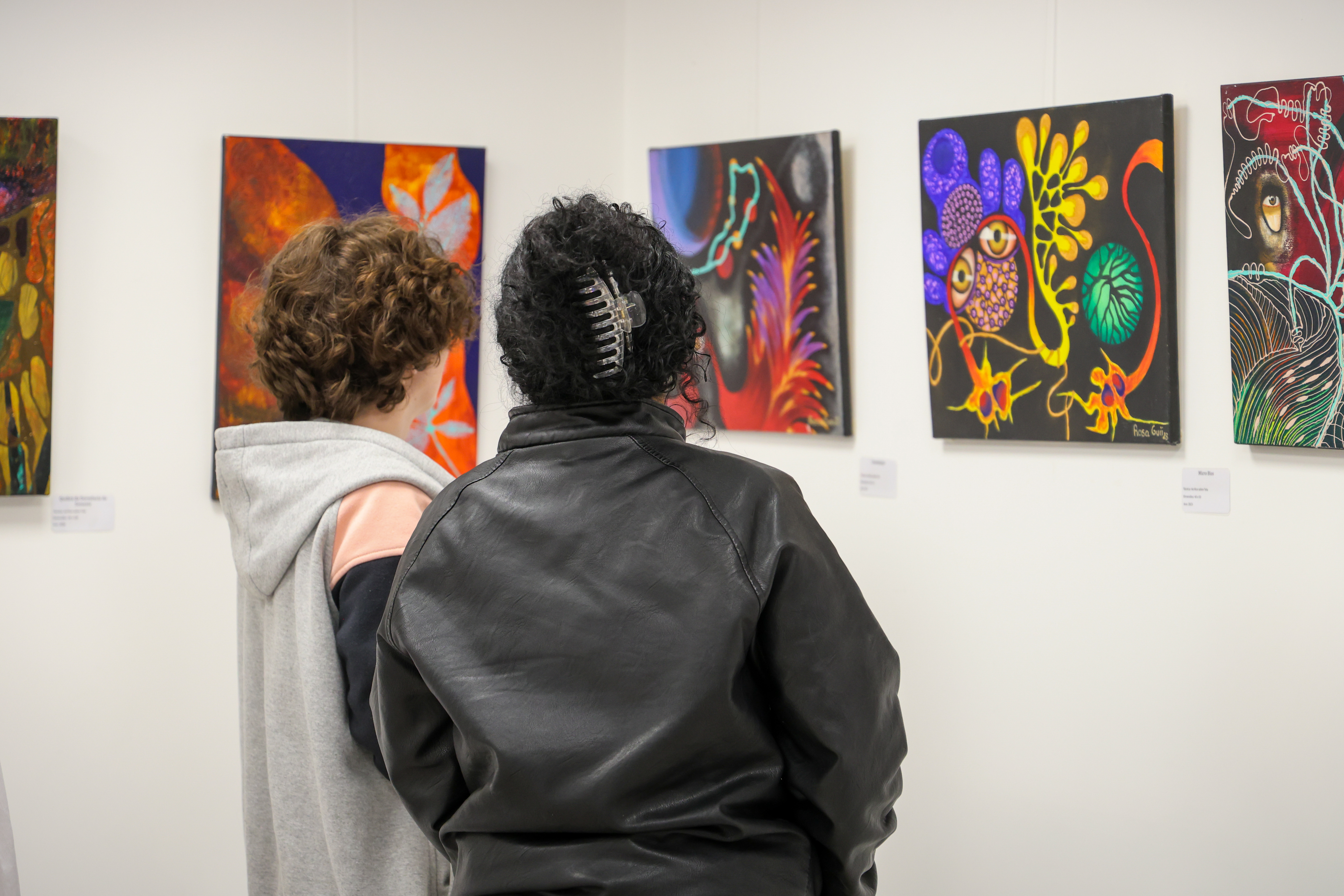 Exposição “Floresta” transforma Biblioteca do MPSC em espaço de reflexão e cultura