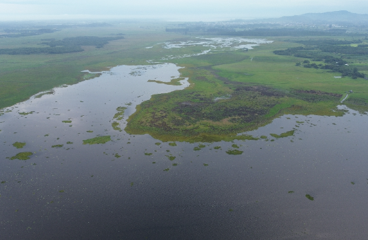 MPSC na linha de frente pela preservação ambiental em Santa Catarina
