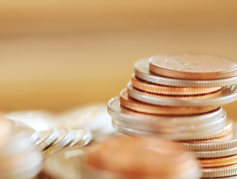 Programa Combate à Sonegação Fiscal