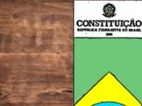 Alcance fala sobre os 25 anos da Constituição