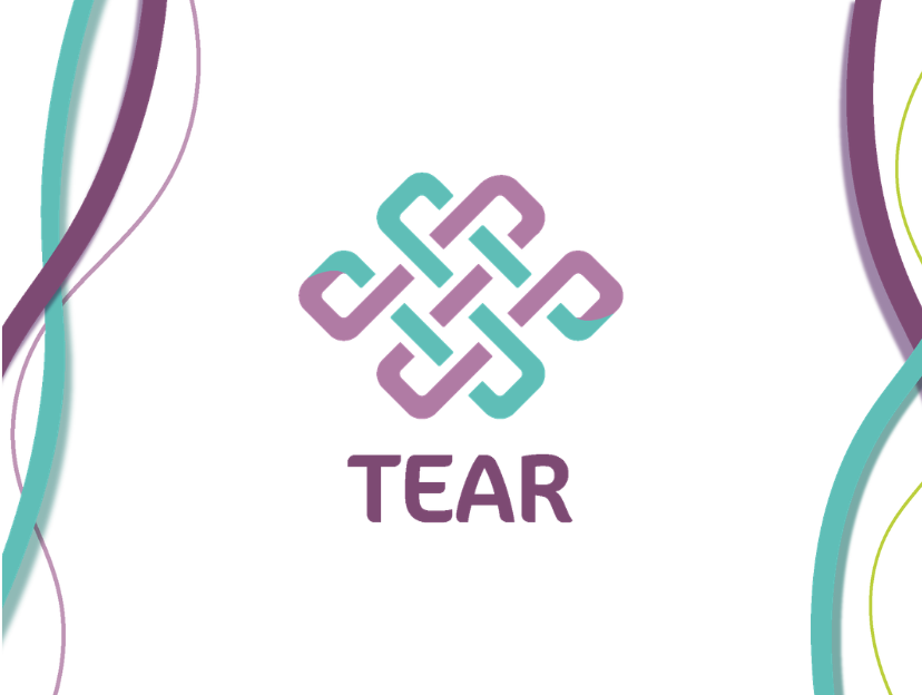 TEAR - Técnicas e Estratégias de Articulação em Rede
